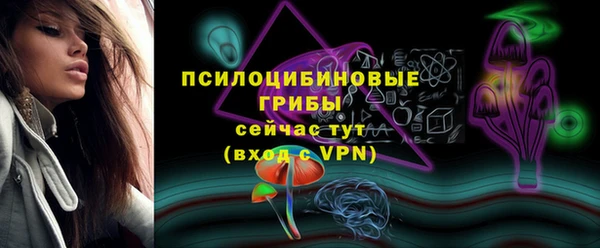 эйфоретик Баксан