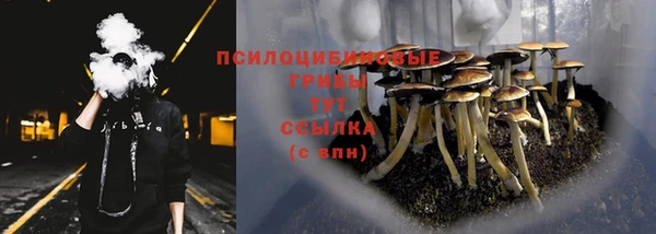 эйфоретик Баксан