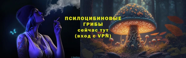 соль ск Балахна