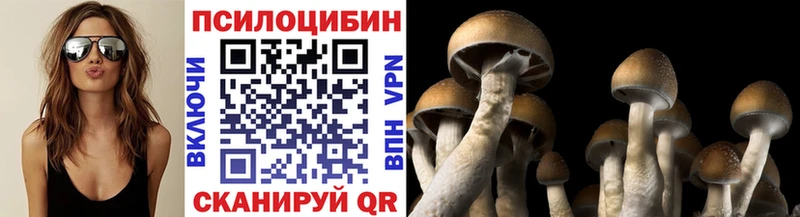 где продают наркотики  mega как зайти  Галлюциногенные грибы мицелий  Верхнеуральск 